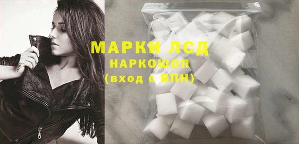 индика Алексин