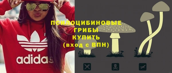 индика Алексин
