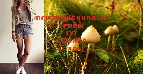 герыч Алзамай