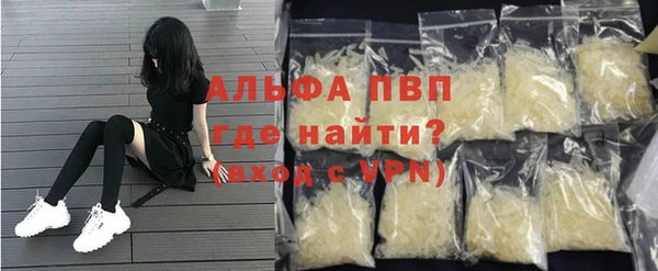 индика Алексин