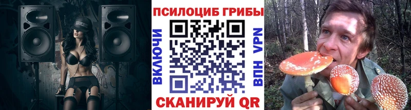 закладка Кукмор Галлюциногенные грибы Magic Shrooms